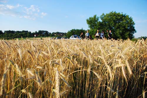 ����������� ���� 2009 � 1389.org.rs